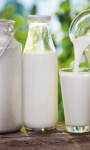 6 Things to Know About Dairy and IC